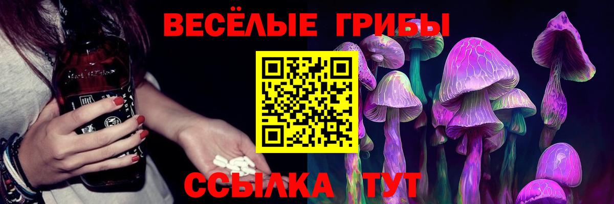 Галлюциногенные грибы Psilocybe  Вход с VPN  Камень-на-Оби  Псилоцибиновые грибы Cubensis 